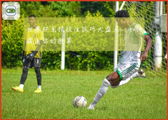 世界杯竞猜投注技巧大盘点，如何提高你的胜算