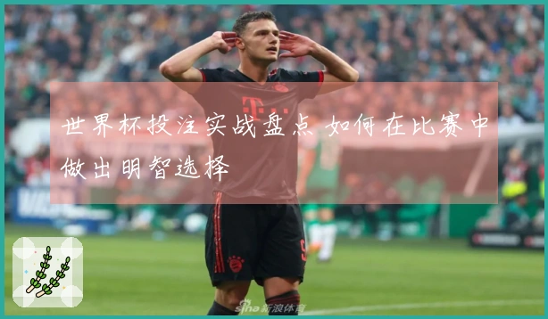 世界杯投注实战盘点 如何在比赛中做出明智选择