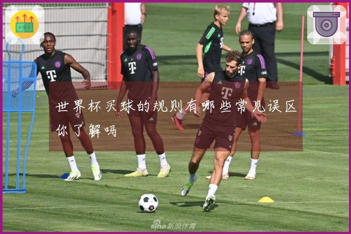 世界杯买球的规则有哪些常见误区你了解吗
