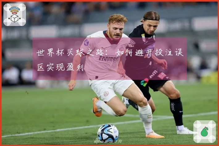 世界杯买球之路：如何避开投注误区实现盈利