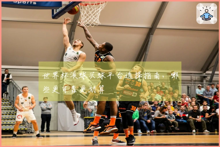 世界杯滚球买球平台选择指南，哪些更可靠更划算