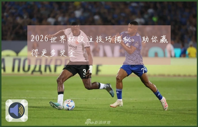 2026世界杯投注技巧揭秘，助你赢得更多奖金