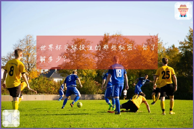 世界杯买球投注的那些秘密,你了解多少?