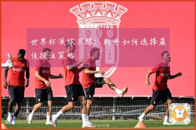 世界杯滚球买球：新手如何选择最佳投注策略