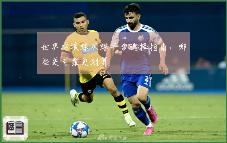 世界杯滚球买球平台选择指南，哪些更可靠更划算