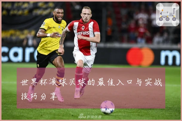 世界杯滚球买球的最佳入口与实战技巧分享
